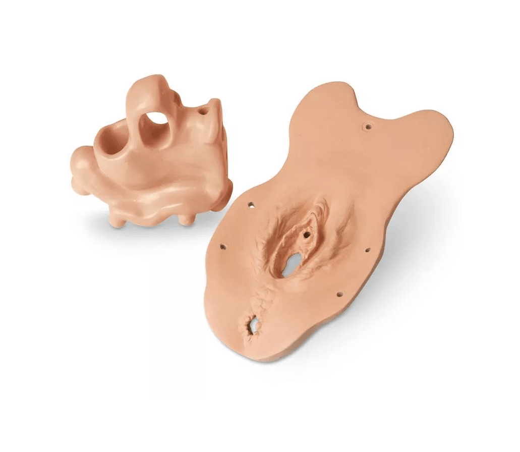 Untersuchungsmodul Menopause - Erler - Zimmer